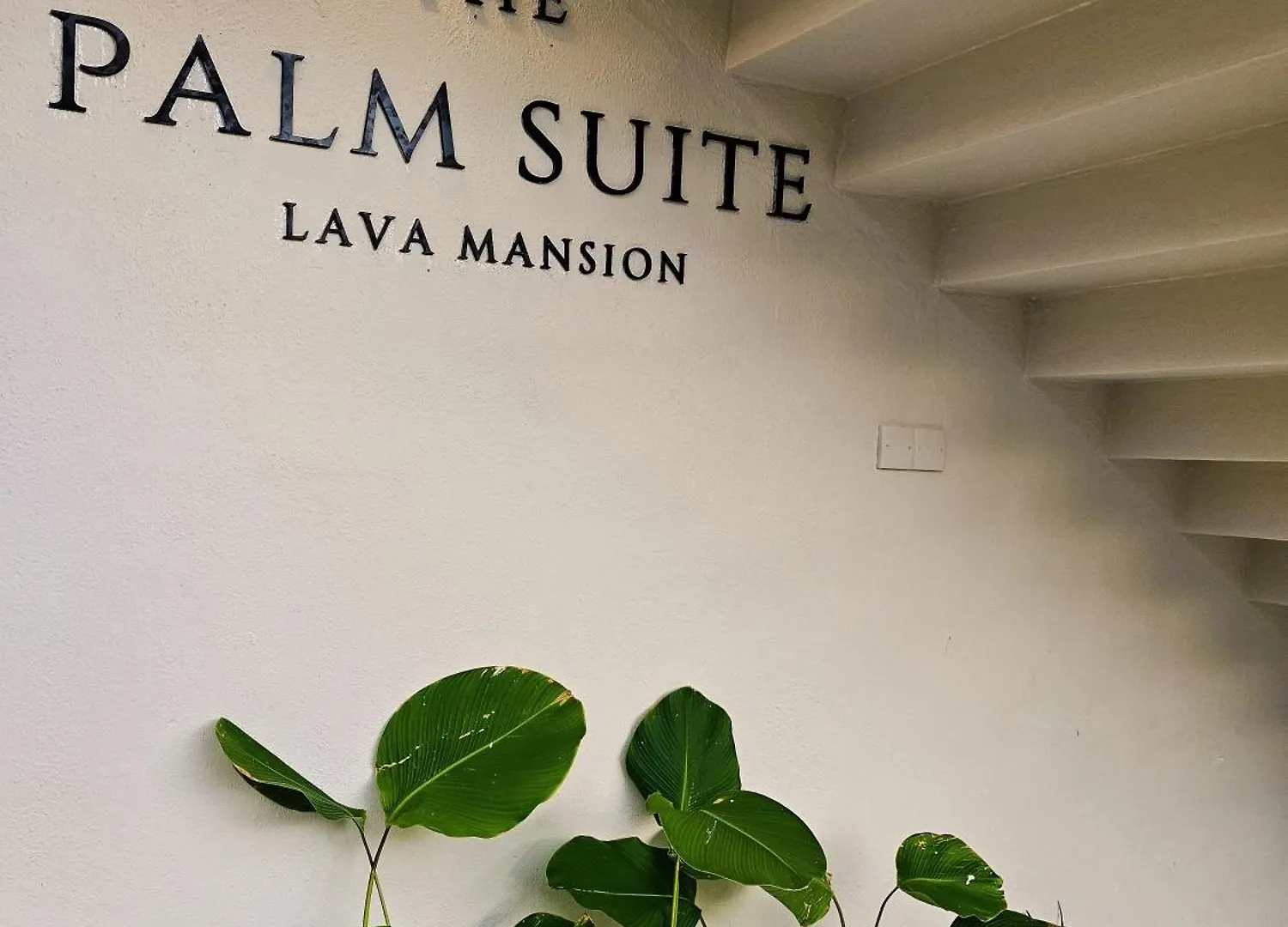 The Palm Suite At Lava Mansion George Town Hotel